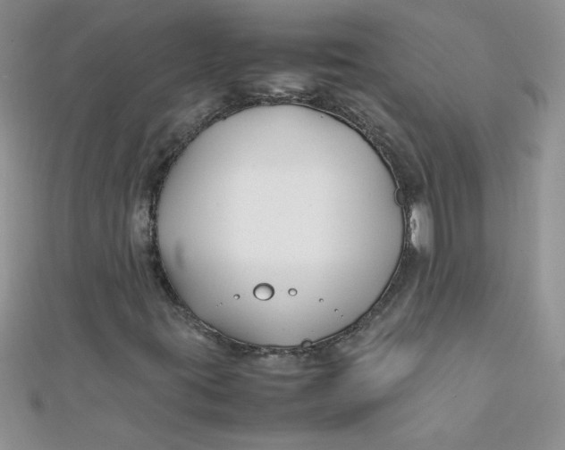 X0000112371395200909031922