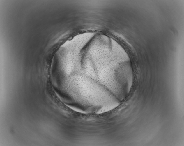 X0000112371399200909031922