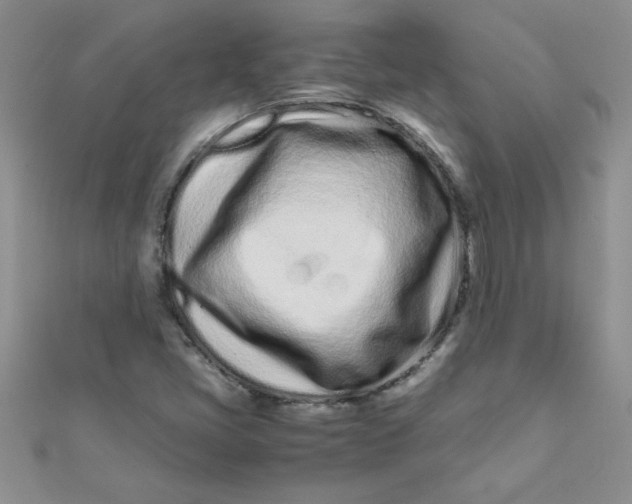 X0000112371405200909031922