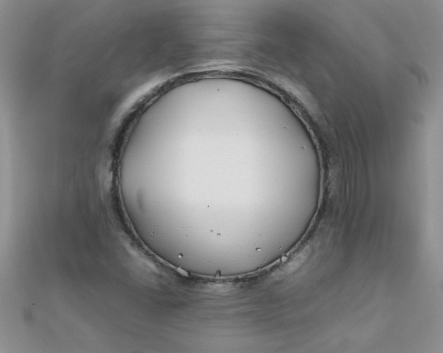 X0000112371406200909031922