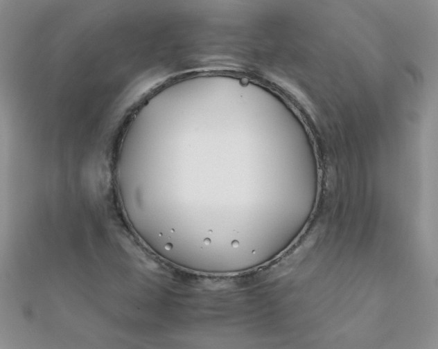 X0000112371407200909031922