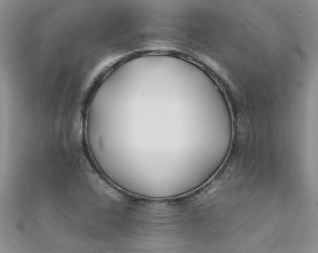 X0000112371408200909031922