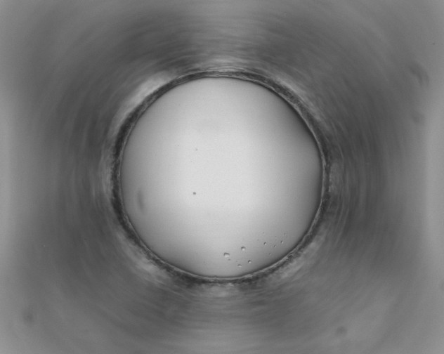 X0000112371410200909031922