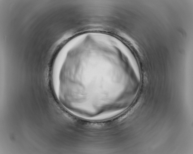 X0000112371411200909031922