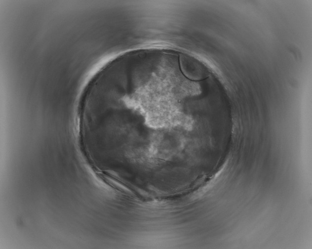 X0000112371414200909031922