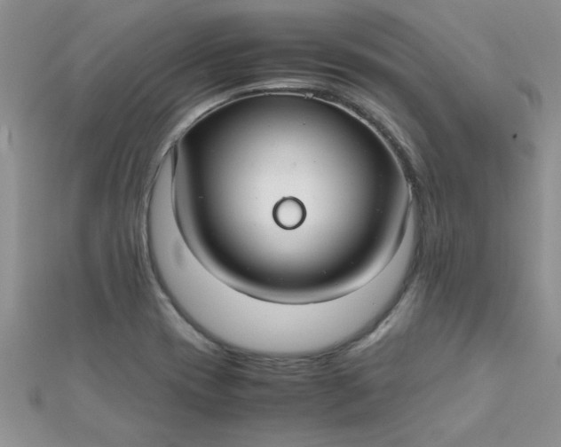 X0000112371417200909031922