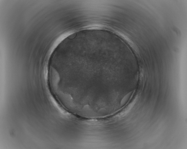 X0000112371418200909031922