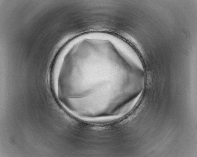 X0000112371419200909031922