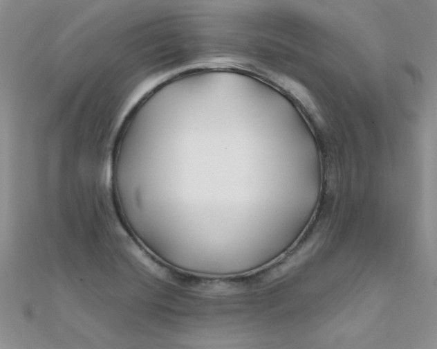 X0000112371420200909031922