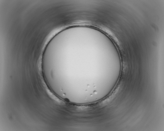 X0000112371421200909031922