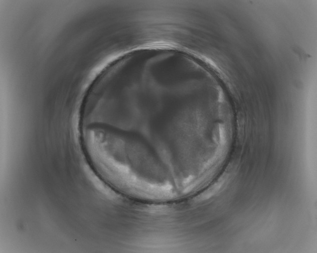 X0000112371422200909031922