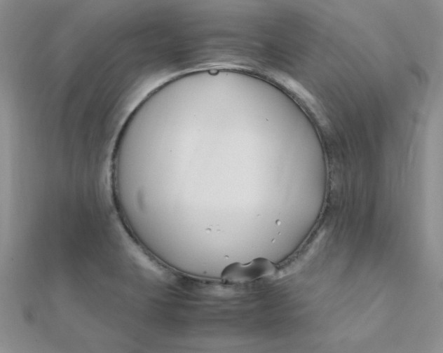 X0000112371423200909031922