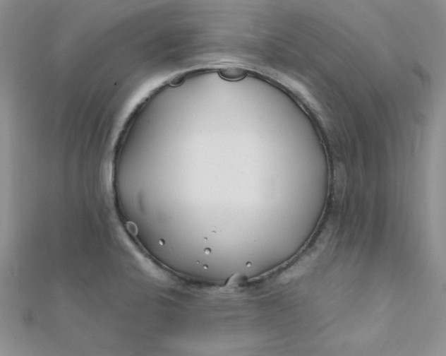 X0000112371424200909031922