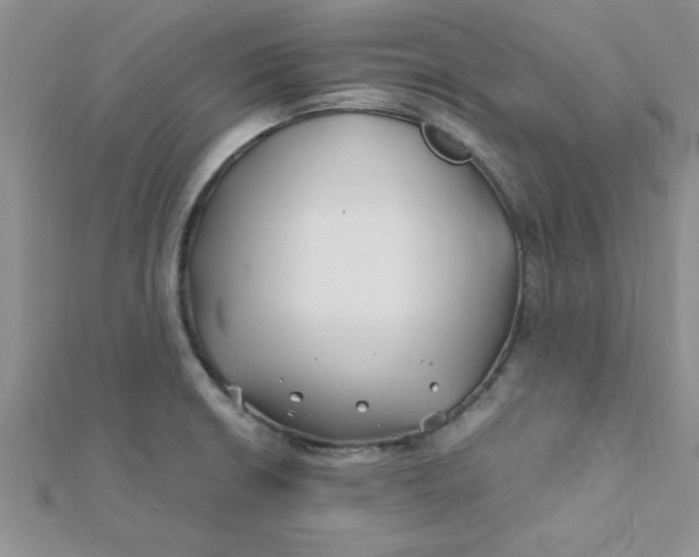 X0000112371426200909031922