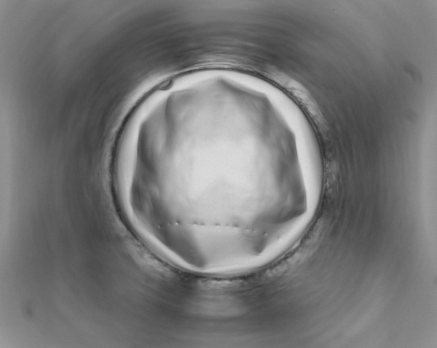 X0000112371427200909031922