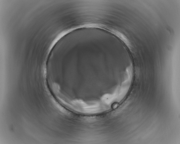 X0000112371428200909031922