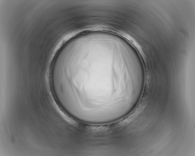 X0000112371429200909031922