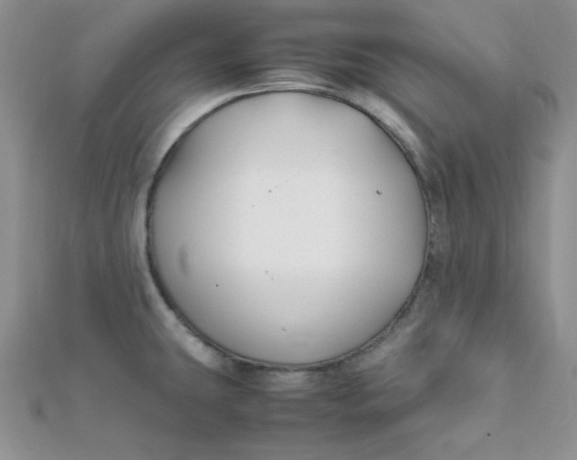 X0000112371431200909031922