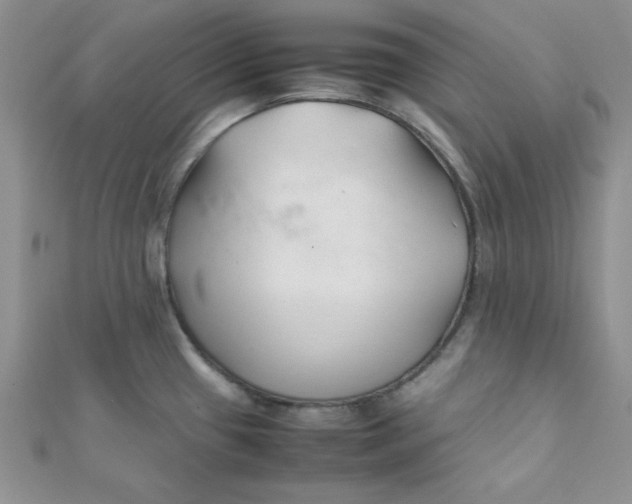 X0000112371433200909031922