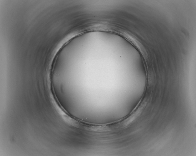 X0000112371434200909031922