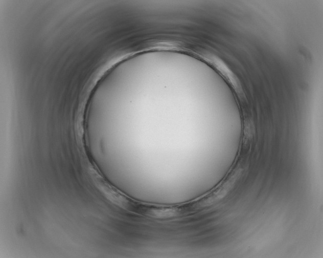 X0000112371435200909031922