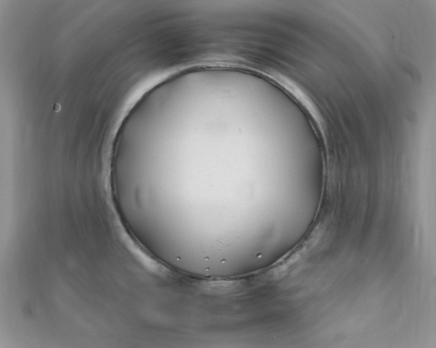 X0000112371437200909031922