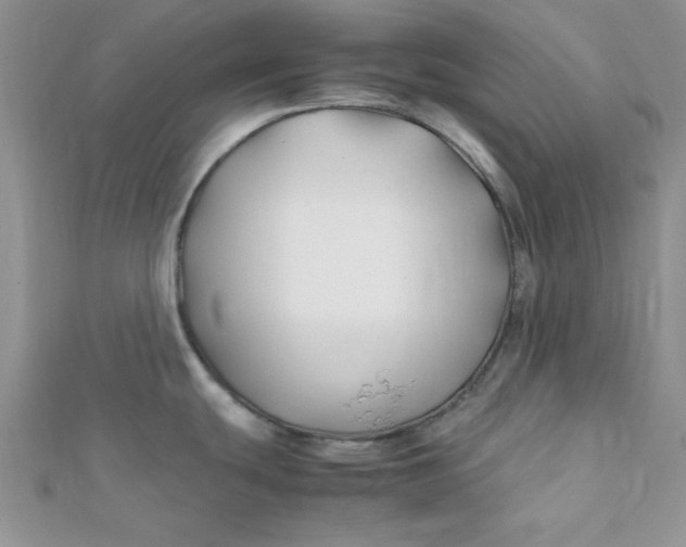 X0000112371439200909031922