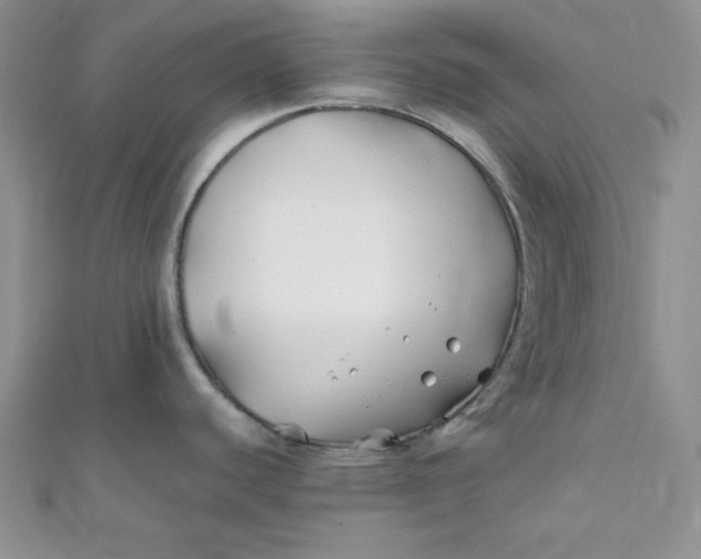 X0000112371440200909031922