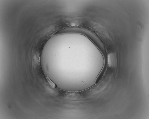 X0000112371443200909031922