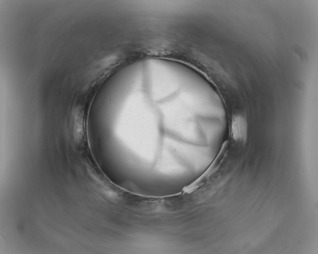 X0000112371444200909031922