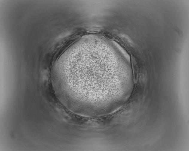 X0000112371445200909031922