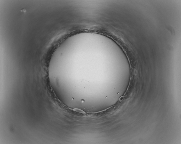 X0000112371447200909031922