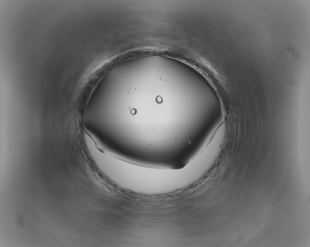 X0000112371448200909031922