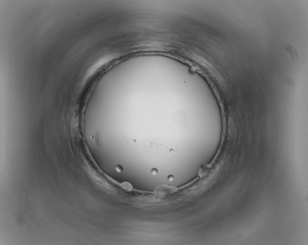 X0000112371450200909031922