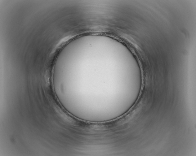 X0000112371451200909031922