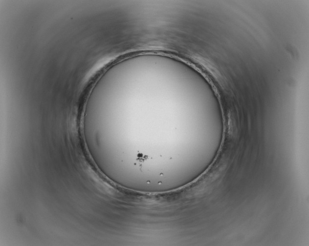 X0000112371452200909031922