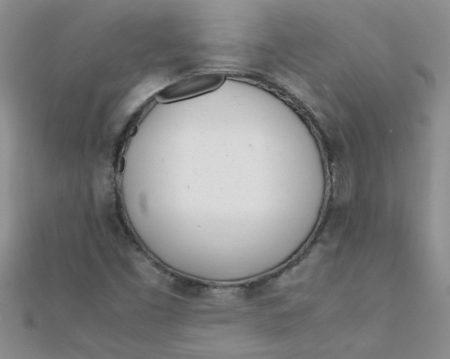 X0000112371453200909031921