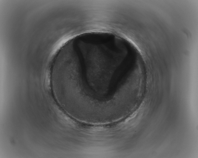 X0000112371455200909031921