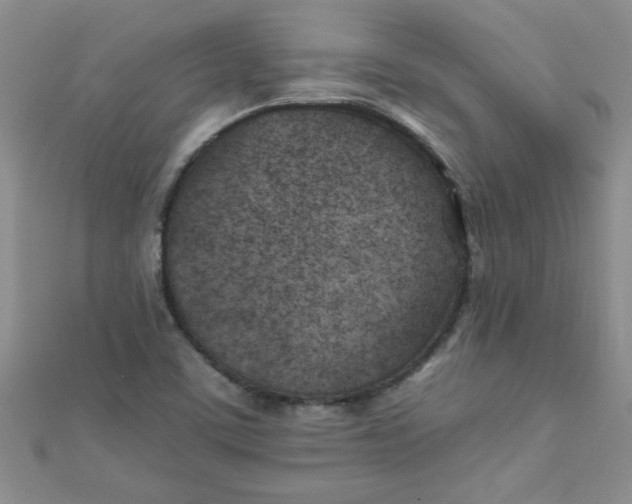 X0000112371459200909031921