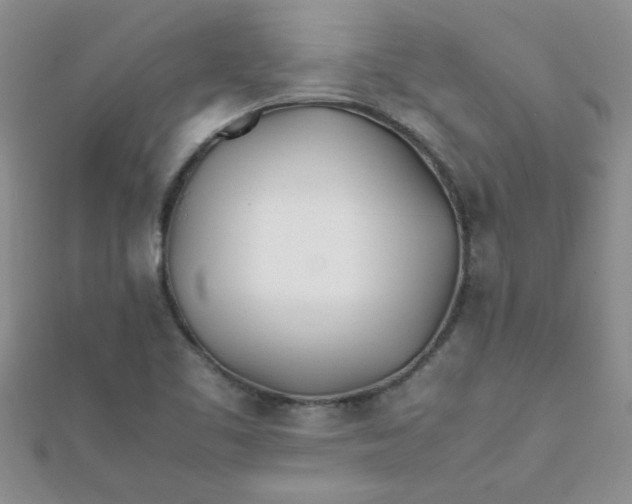 X0000112371461200909031921