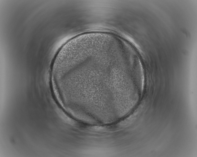 X0000112371463200909031921