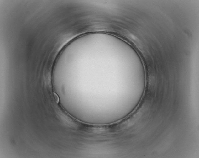 X0000112371465200909031921