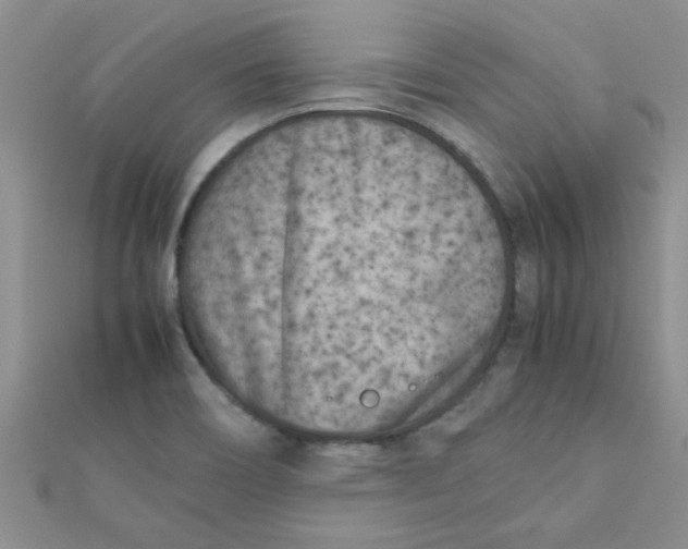 X0000112371466200909031921