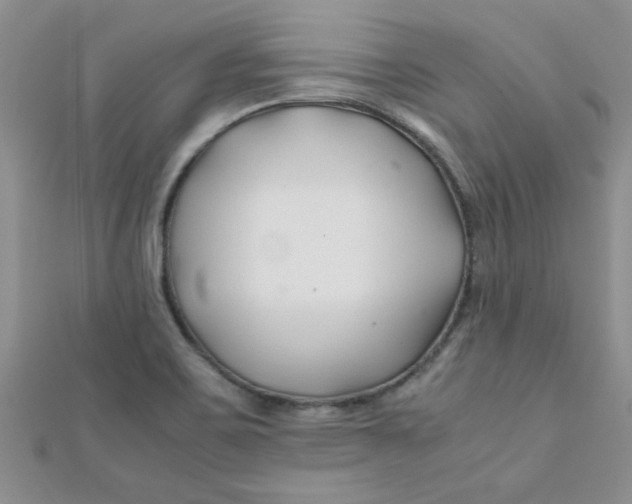 X0000112371467200909031921