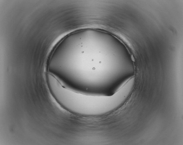 X0000112371468200909031921