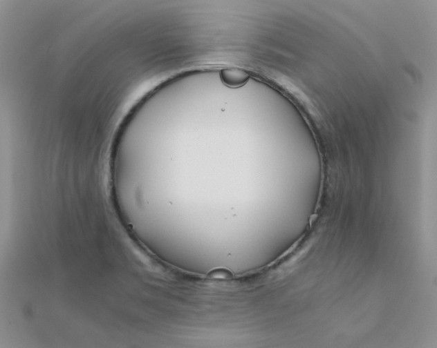 X0000112371469200909031921