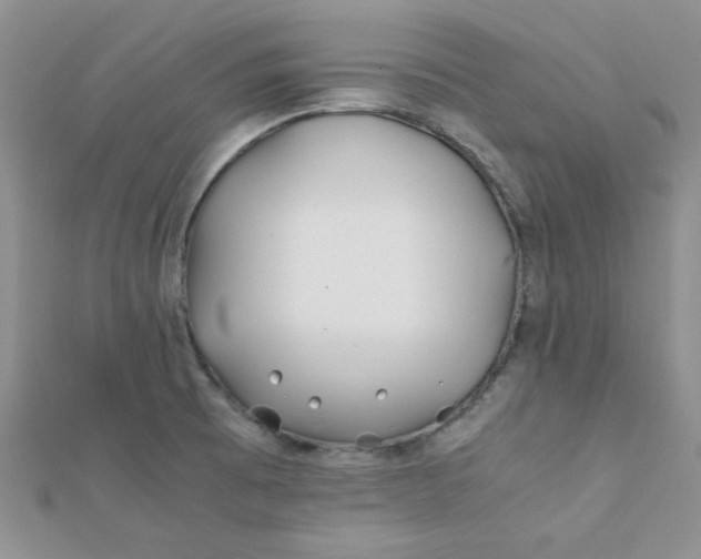 X0000112371473200909031921