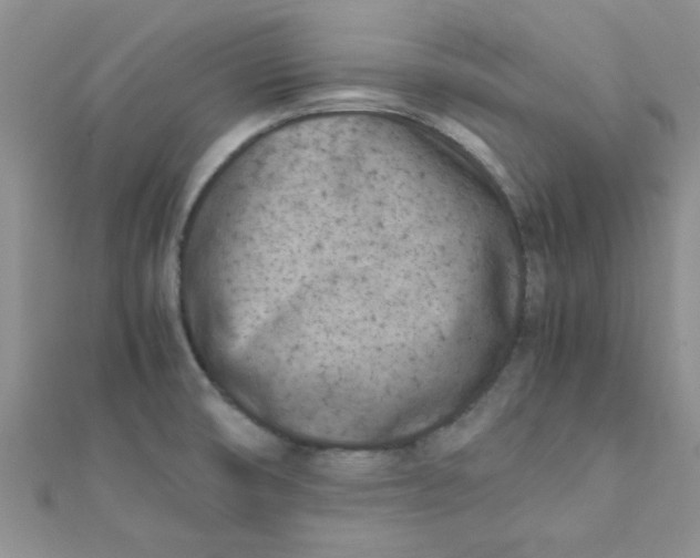 X0000112371474200909031921