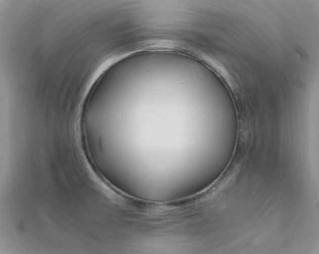 X0000112371475200909031921