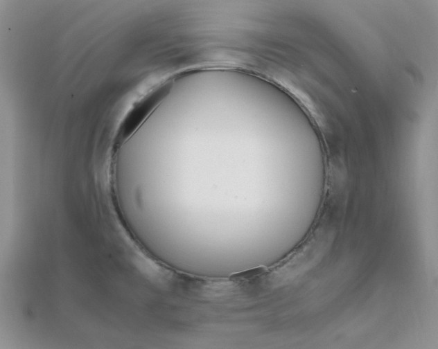 X0000112371477200909031921